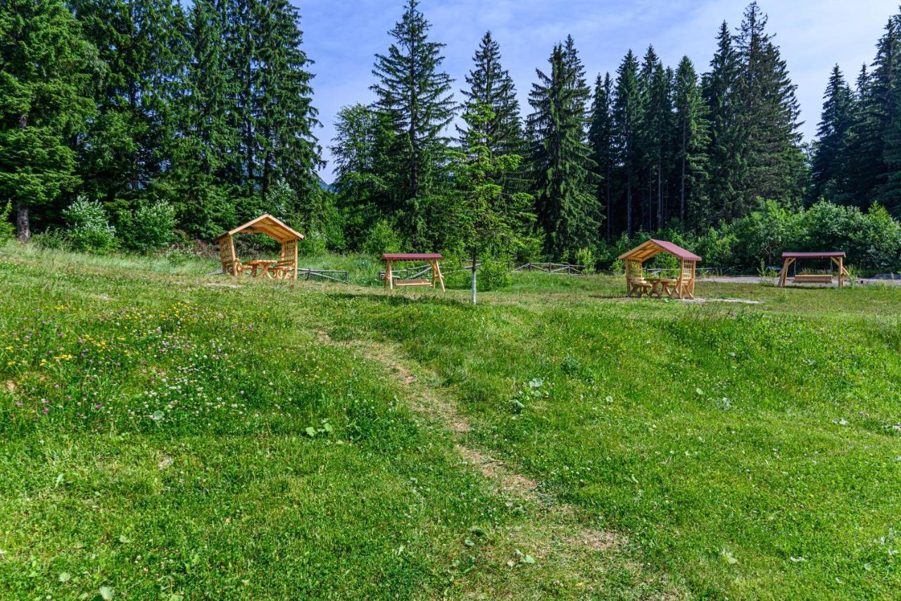Pine Woods Studio D113 In Silver Mountain Poiana Brasov Ngoại thất bức ảnh